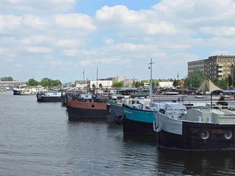 20250530_153212-standard.jpg