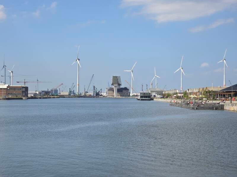 20250530_162519-standard.jpg