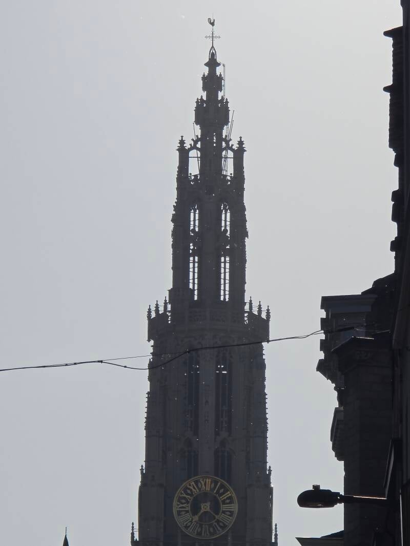 20250530_192051-standard.jpg