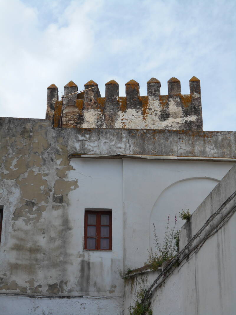 dscn3245jpg.jpg