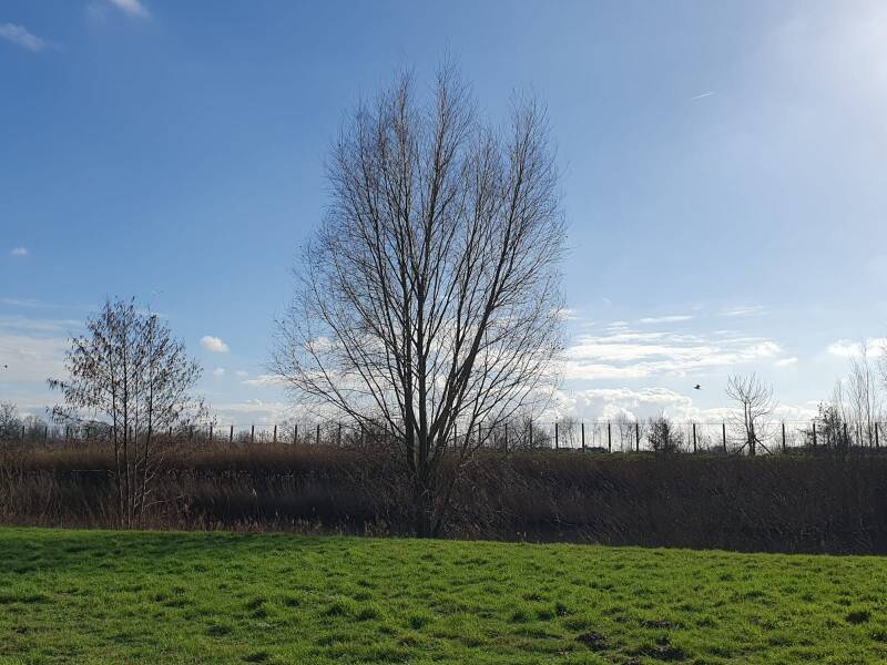 img-20240217-wa0064.jpg