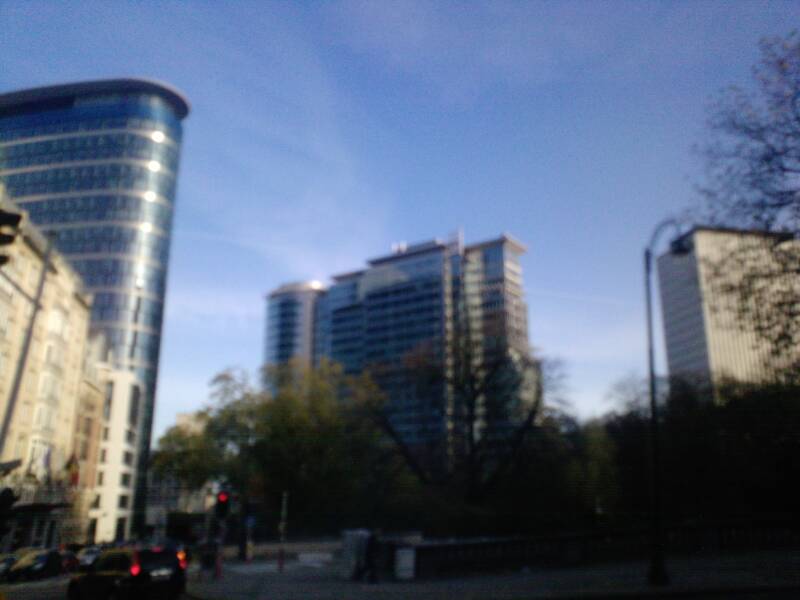 p1022_20-11-10.jpg