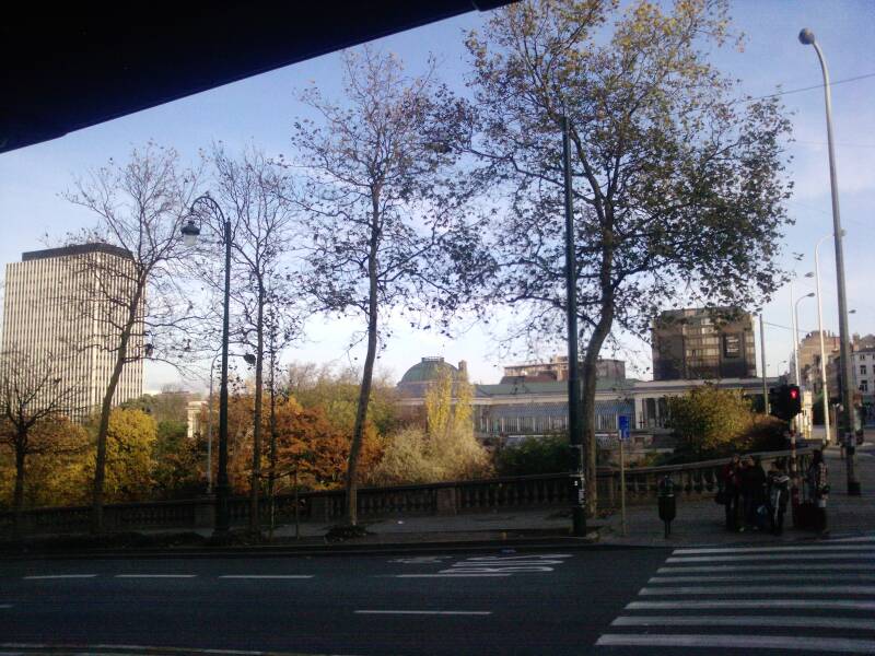 p1023_20-11-10.jpg