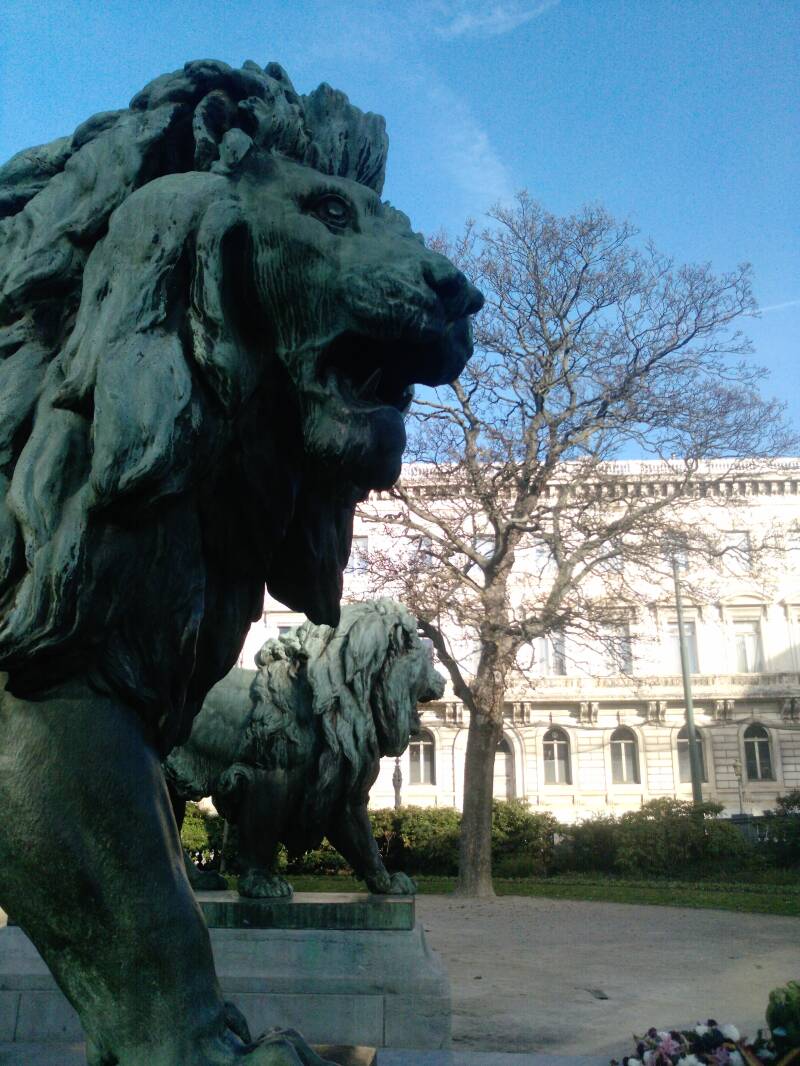 p1108_20-11-10.jpg