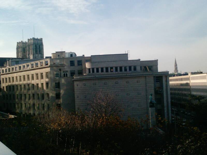 p1110_20-11-10.jpg