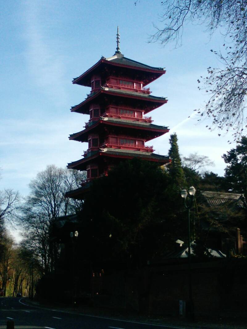 p133801_20-11-10.jpg