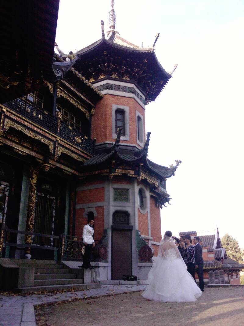 p1341_20-11-10.jpg