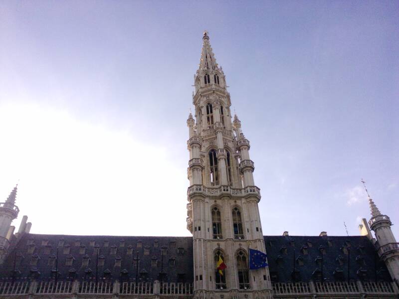 p1438_20-11-10.jpg