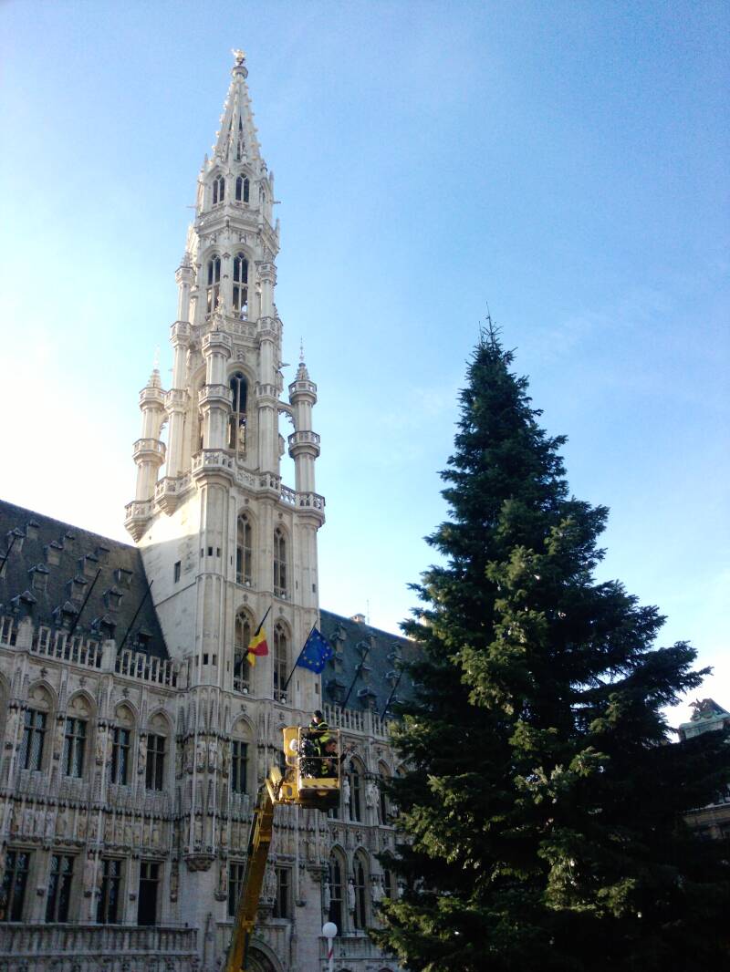 p144001_20-11-10.jpg