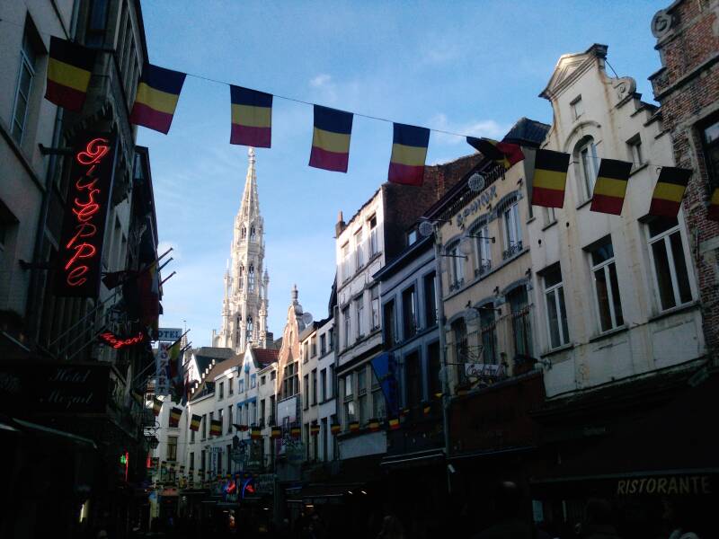 p144801_20-11-10.jpg