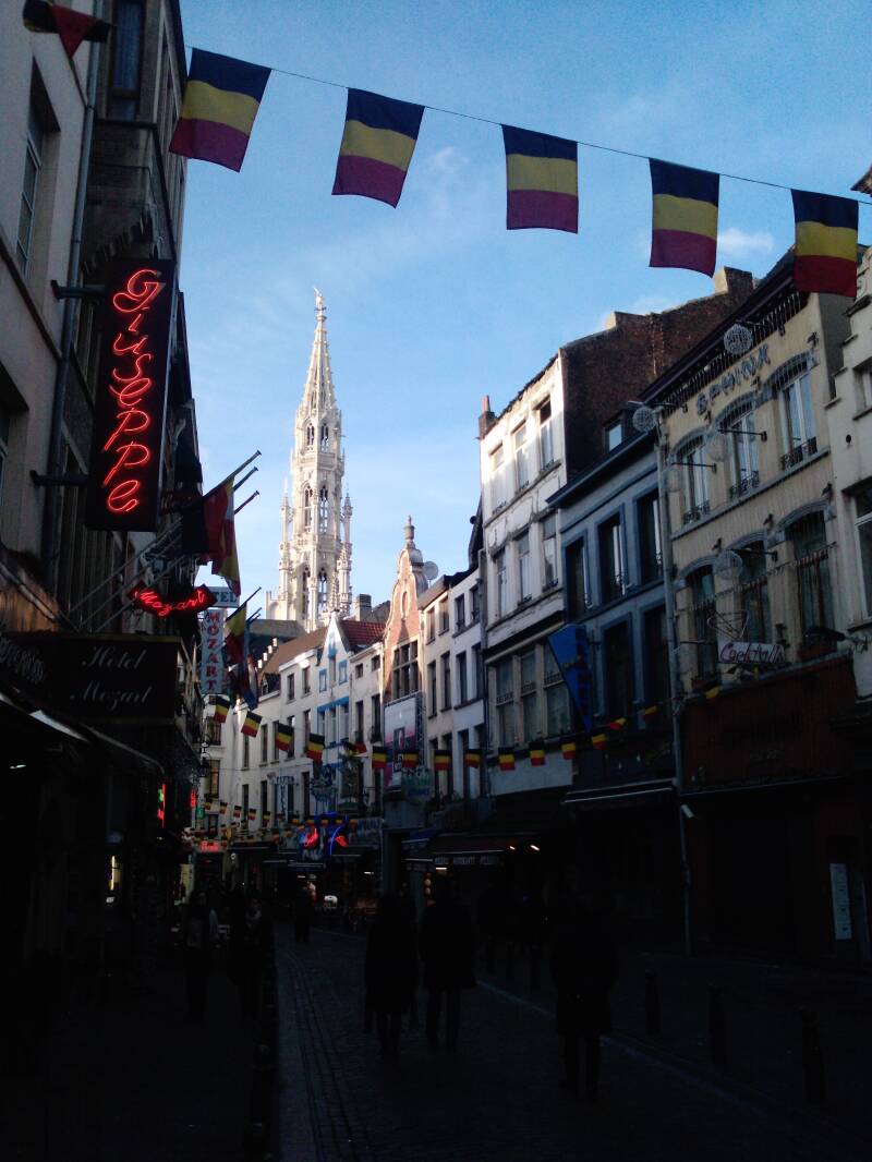 p1448_20-11-10.jpg