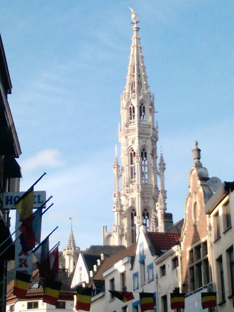 p1449_20-11-10.jpg