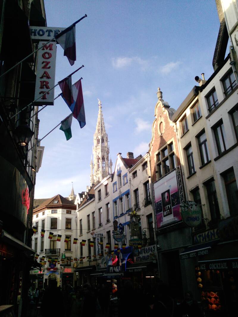 p1450_20-11-10.jpg