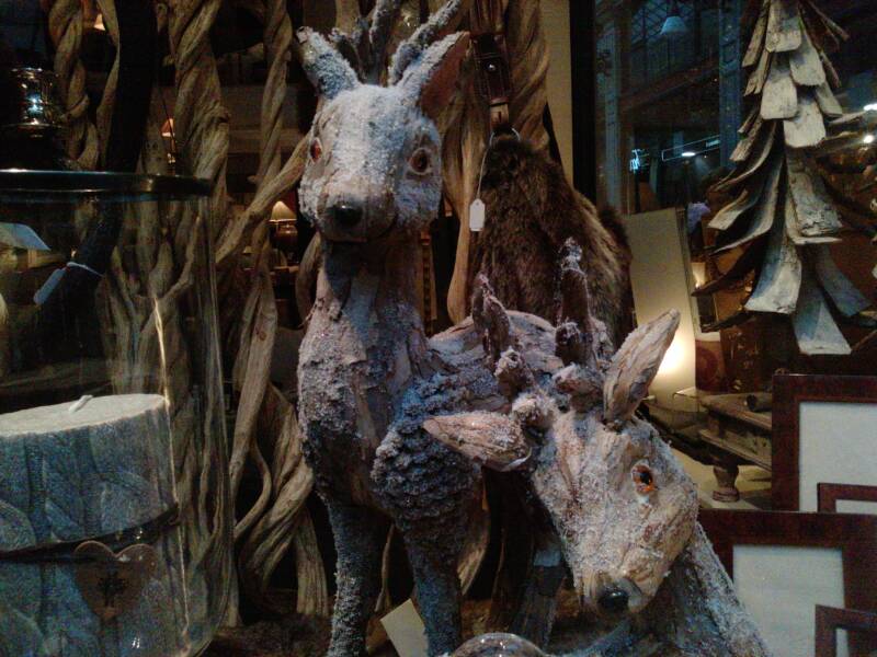 p1524_20-11-10.jpg