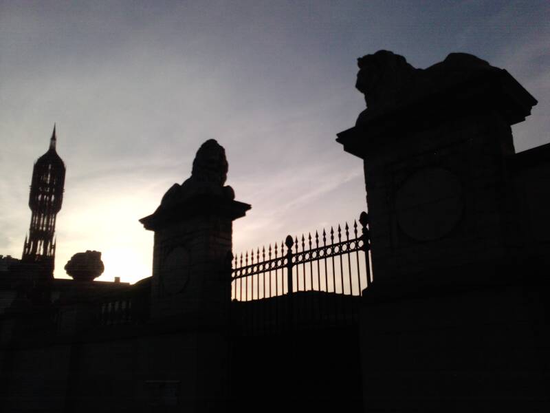 p1546_20-11-10.jpg