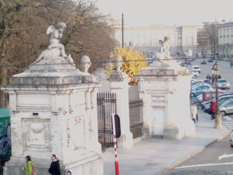 p1551_20-11-10.jpg