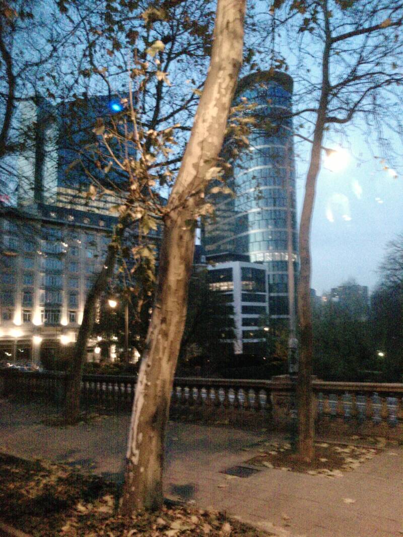 p170902_20-11-10.jpg