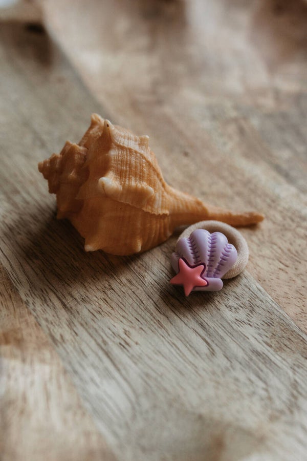 Lavender Shell
