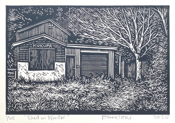 Shed in Winter