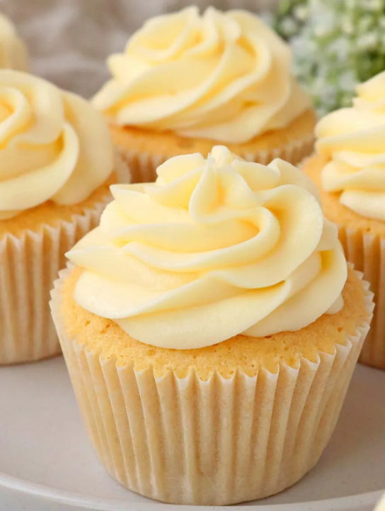 Signature Cupcake Collection |  Interstate Friendly | Box 12 | $35