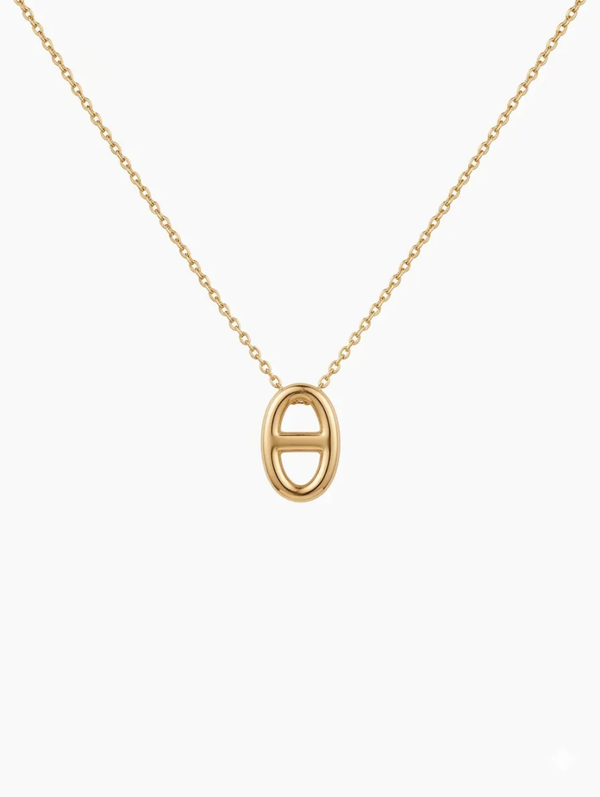 Ketting met scheepsschakel hanger