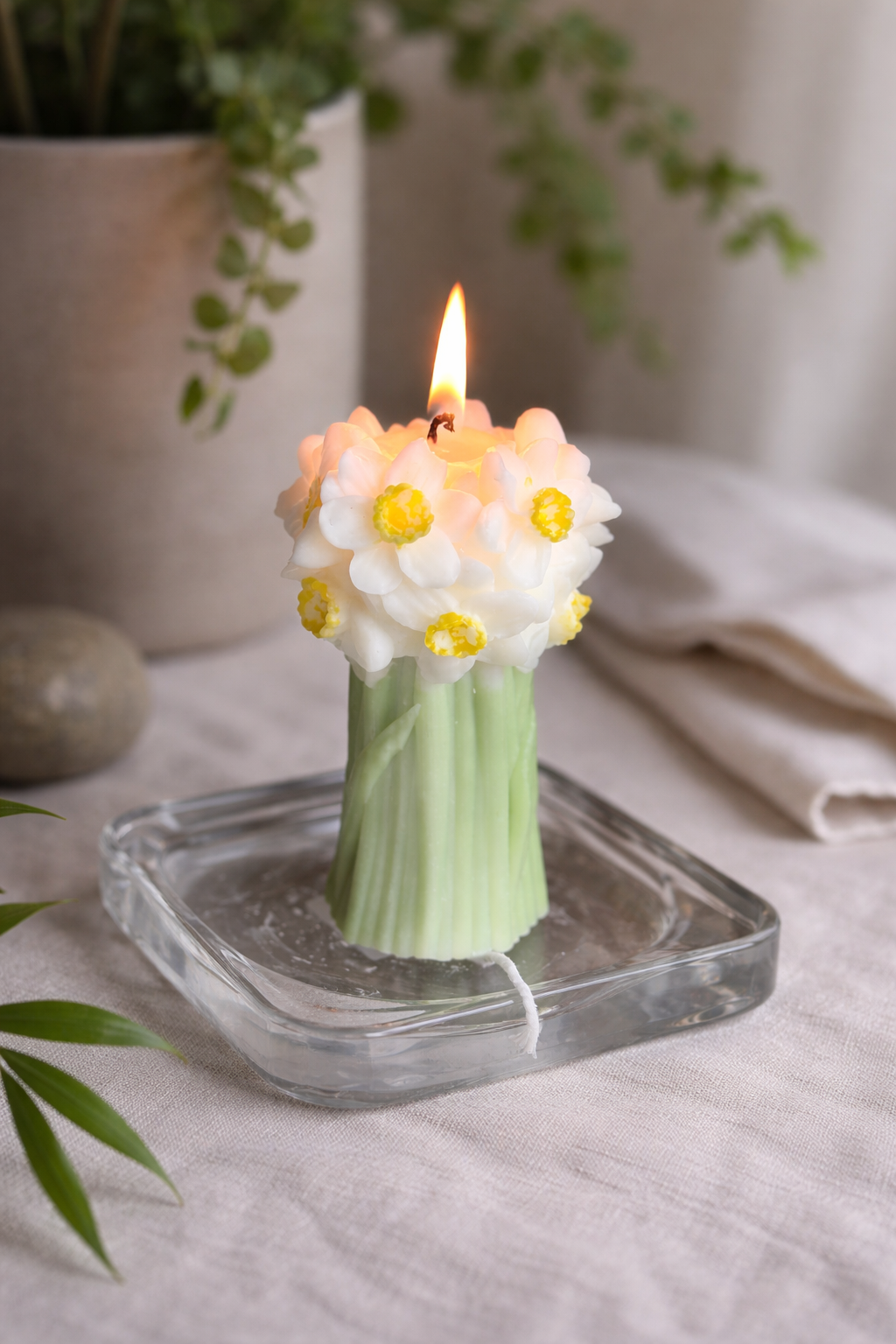 Spring Daffodil