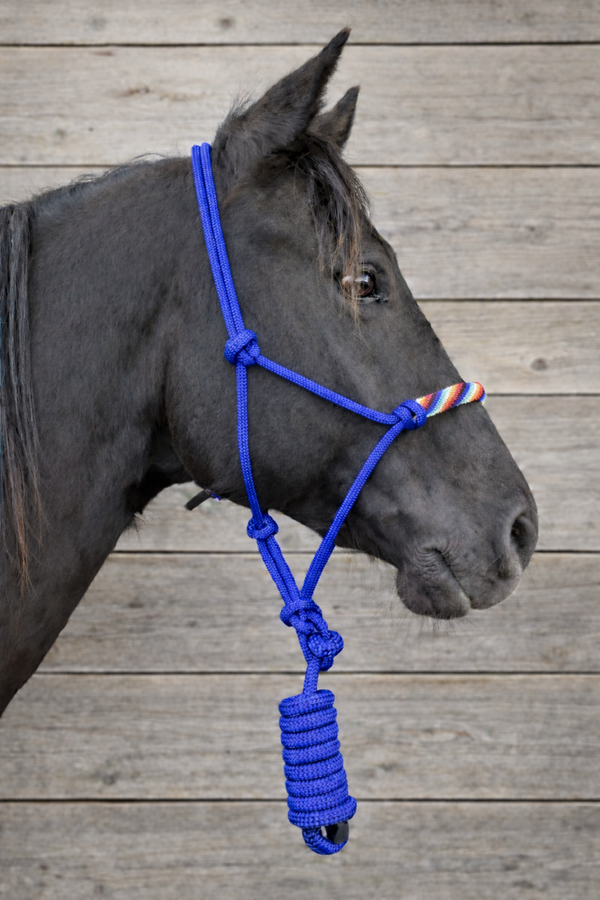Pearl ropehalter - blue