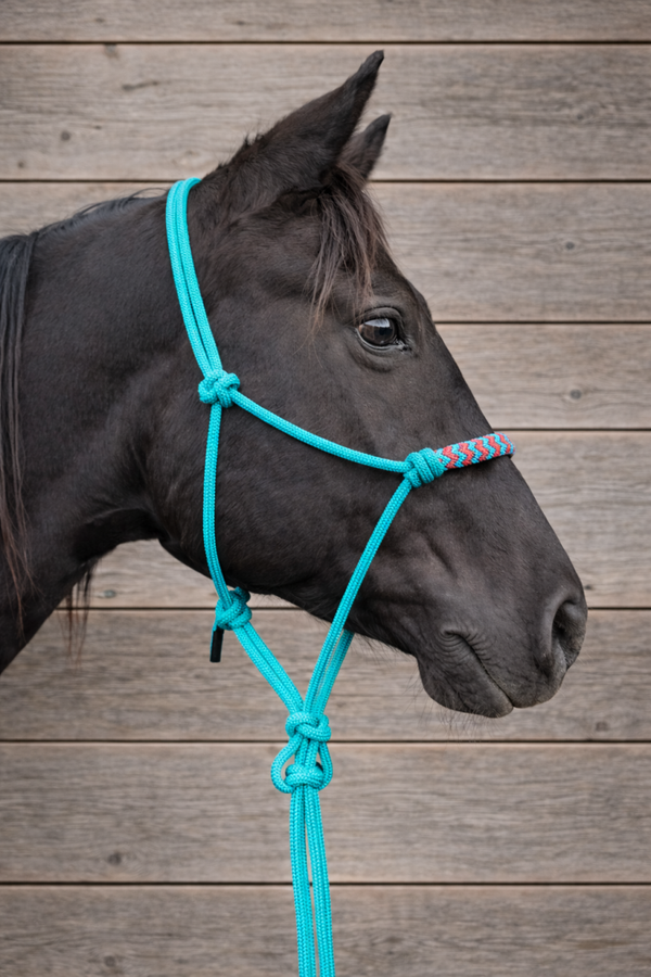 Pearl ropehalter - turquoise