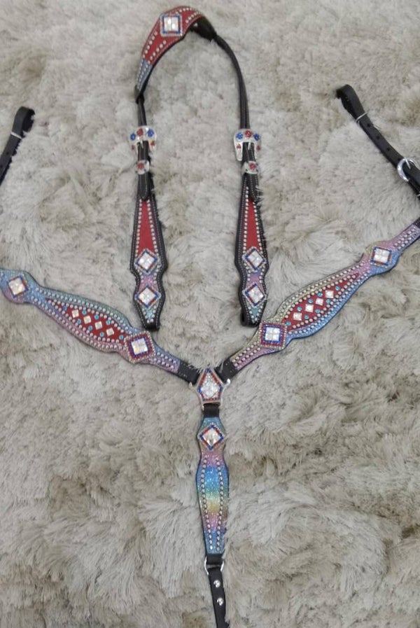 Americain rainbow tack set
