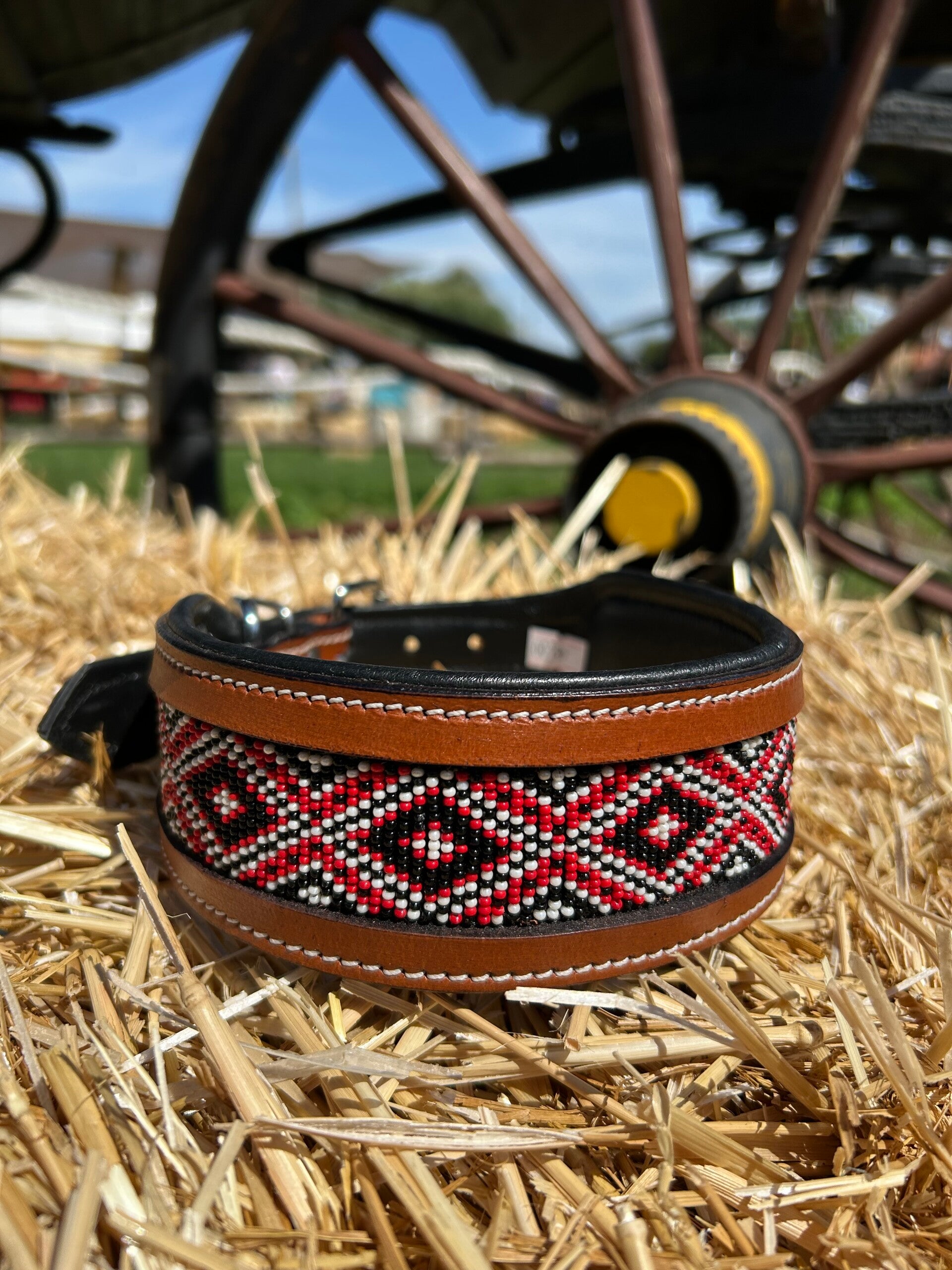 Dog collar red