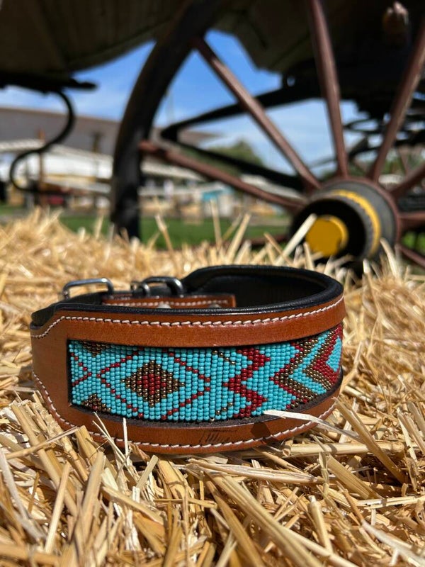 Dog collar turquoise