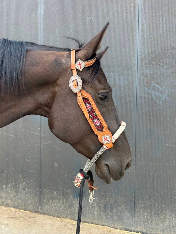 Combi bosal with bridle