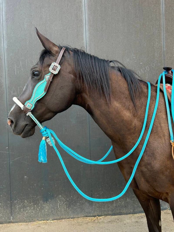 Bosal with bridle and mecates