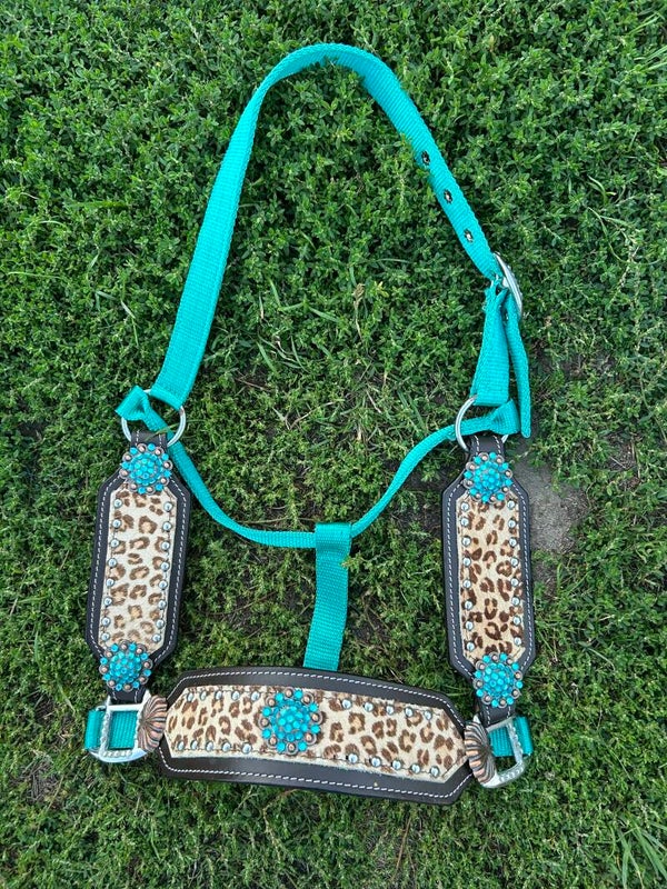 Turquoise leopard bling halter