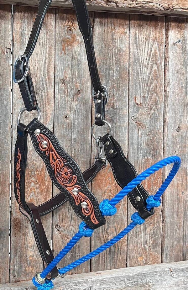 Lederen lariat halster - Blauw