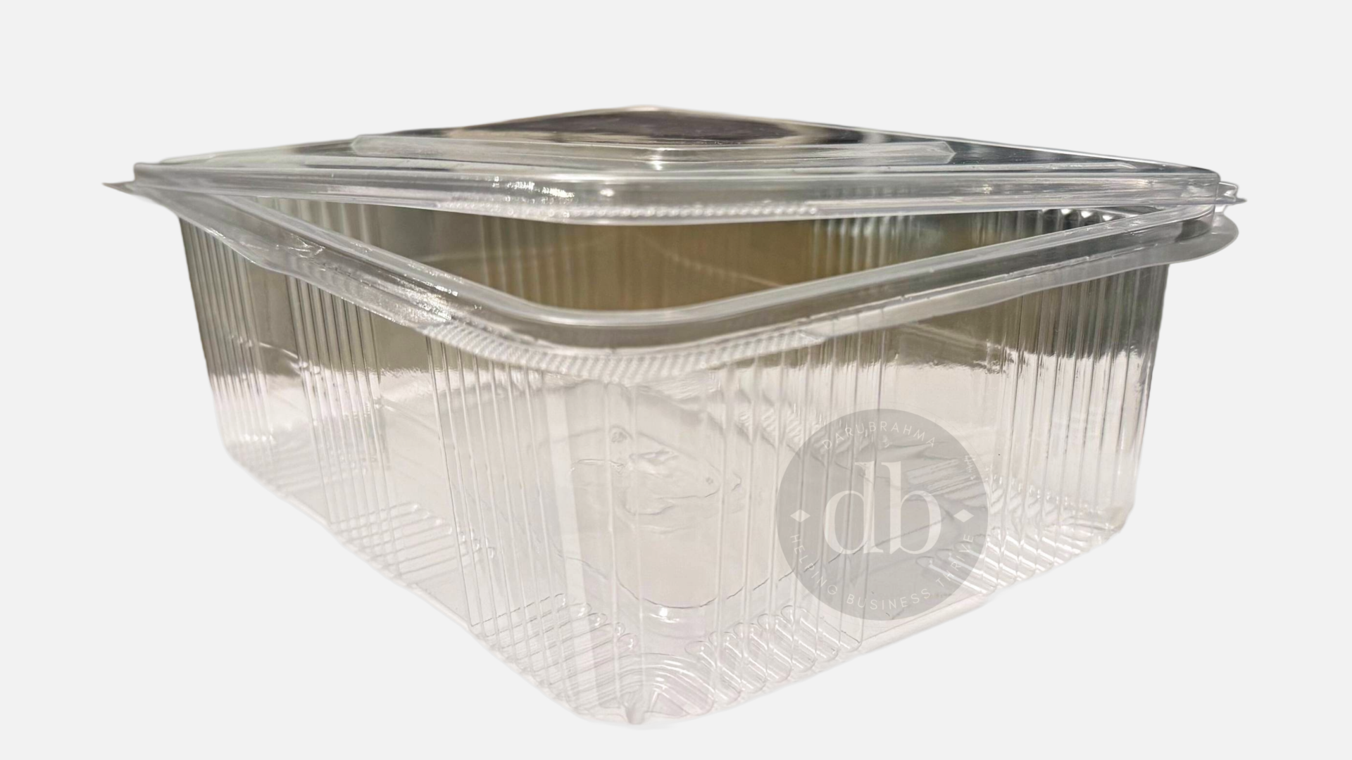 Hinged Plastic Salad/ Snacks Box