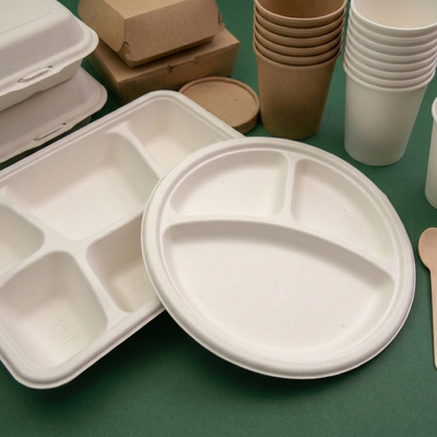 Biodegradable bagasse tableware flat lay