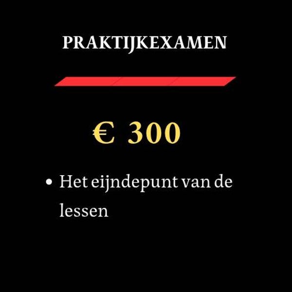 Praktijkexamen