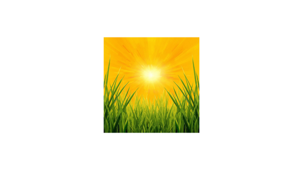Leon’s Dandy Lemon Grass