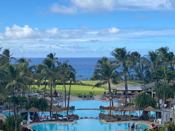 Hawaiian Delight