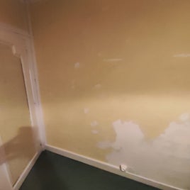 c0231819-fa66-4f92-be98-1bc679ccf01a-standard.jpg