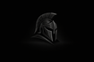 SPARTAN INNOVATION