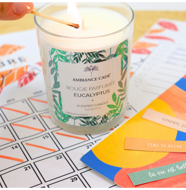 Bougies Eucalyptus à l'Huile Essentielle de Cade et au parfum de Grasse