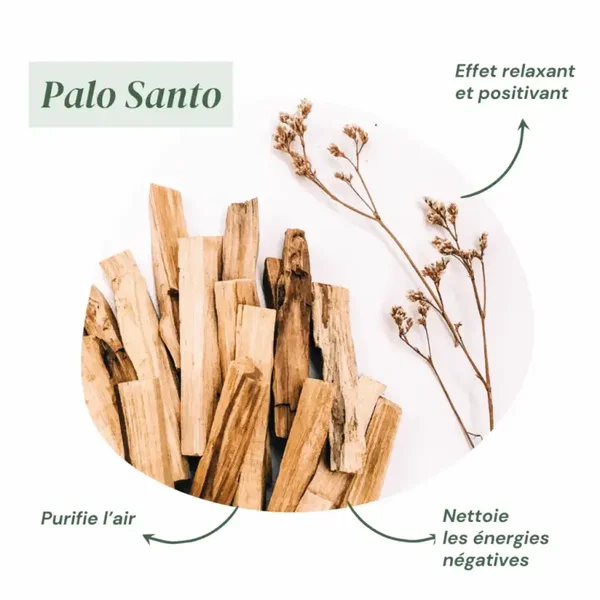 Encens Parfum Palo Santo NOUVEAUTE 2026