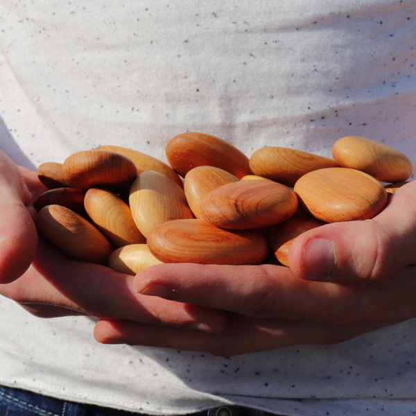 Mini Cadalithe - Sachet de 50 gr (5)