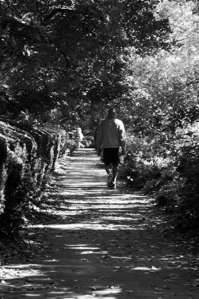 img_0695-standard.jpg