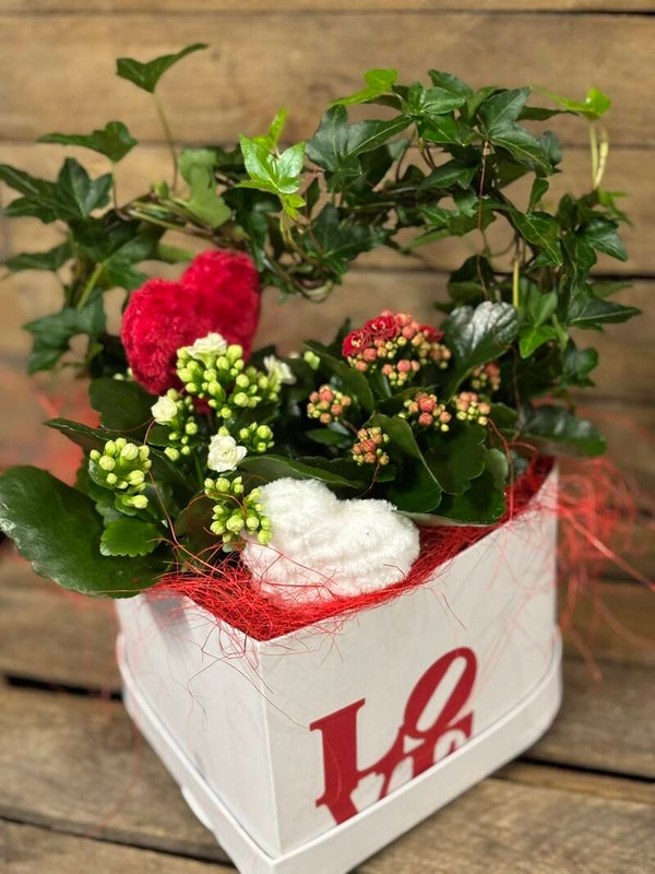 𝓥𝓪𝓵𝓮𝓷𝓽𝓲𝓳𝓷 Bloemendoos 'hartje'