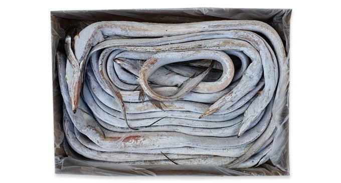 Riemvis 400/1000 10KG – AAA-kwaliteit (Art: 1183)