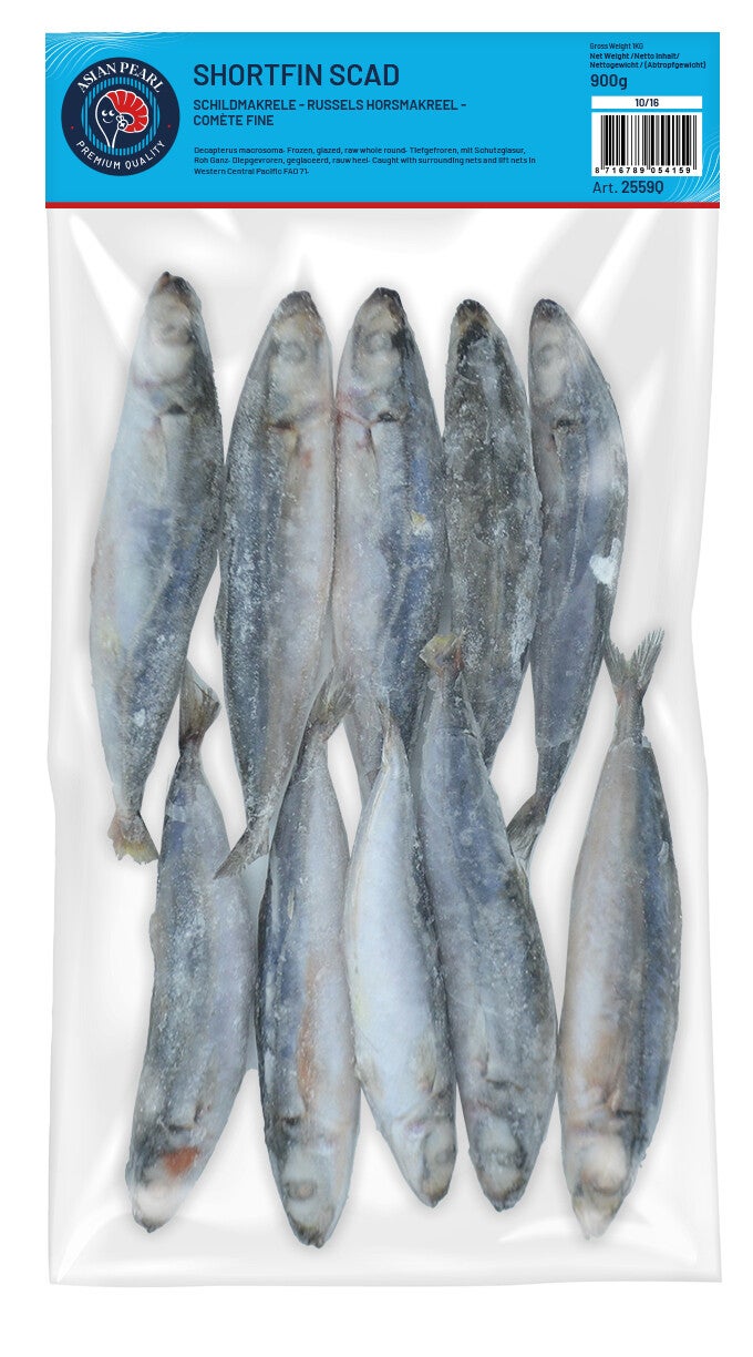 Horsmakreel 10-16 PCS/BAG 10KG  Art: 2559Q