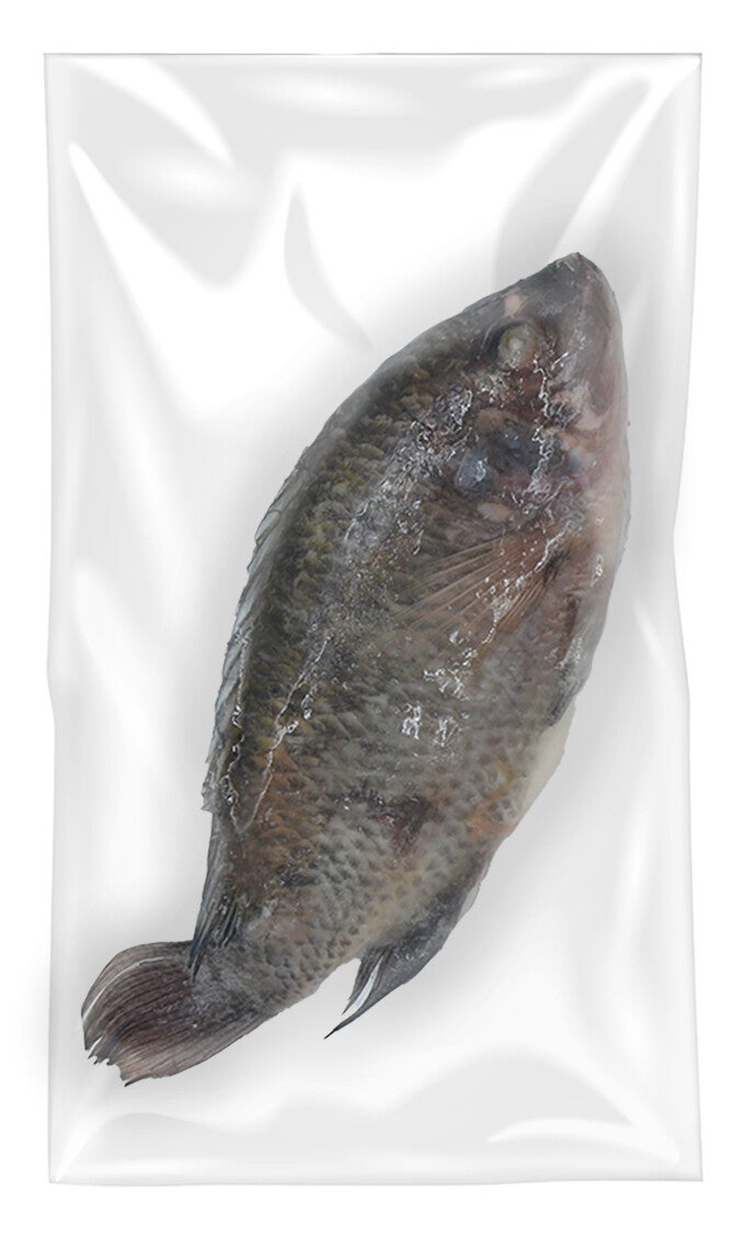 Tilapia 500/800 8KG – A-kwaliteit (Art: 3731)